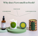 Bon Lux | Travel Tin | Vert