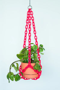 Woljam | Plant Hanger| Raspberry