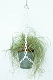 Woljam | Plant Hanger| White