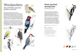 Birds in Watercolour: A Beginner's Guide to Drawing and Painting Birds | Sofia Gazarian