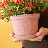 Woljam | Sundae Series | Cherry