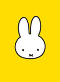 All Wrapped Up | Miffy Gift Cards