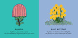 Our Flowers | Bronwyn Bancroft