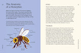 Honeybees | Mary Trumble & Henry Fried