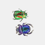 Chunks | Allie Beetle Clips in Shining Armor