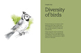 Birds in Watercolour: A Beginner's Guide to Drawing and Painting Birds | Sofia Gazarian