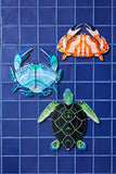 Jones & Co | Beach Club Turtle