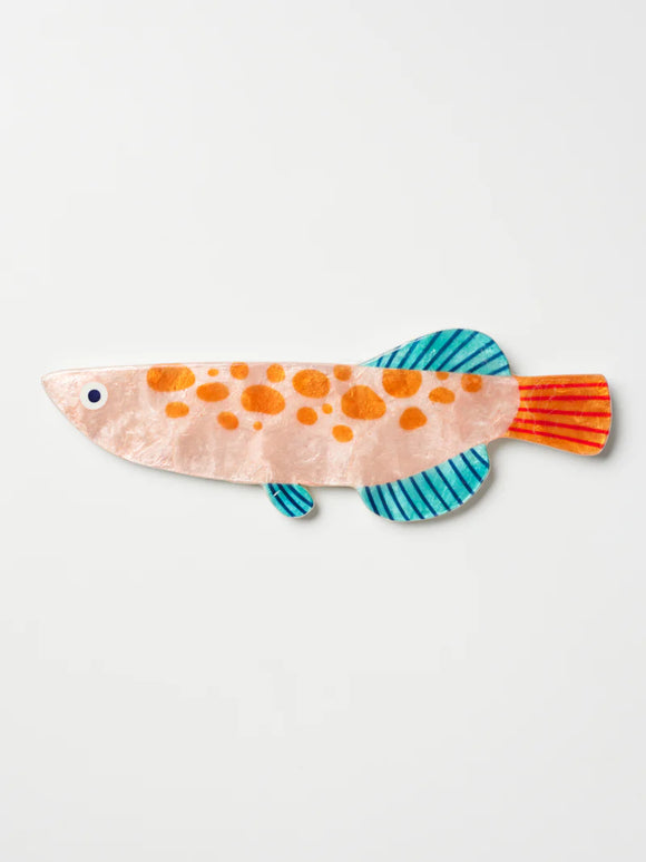 Jones & Co | Comet Fish