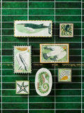 Jones & Co | Mariner Box | Shell
