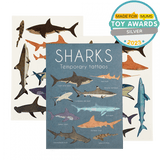 Rex | Sharks | Temporary Tattoos