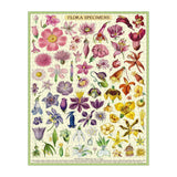 Cavallini 1000 Piece Puzzle | Flora Specimens