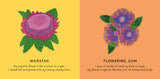 Our Flowers | Bronwyn Bancroft