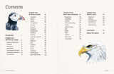 Birds in Watercolour: A Beginner's Guide to Drawing and Painting Birds | Sofia Gazarian