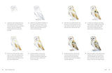 Birds in Watercolour: A Beginner's Guide to Drawing and Painting Birds | Sofia Gazarian