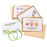 Mrs Green | Flower Press | Small