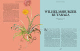 The Curious Lives of Vegetables | Ali Francis & Adriana Picker