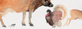 Heads + Tails | Farm | By John Canty