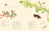 Planting for Native Birds, Bees + Butterflies | Jaclyn Crupi