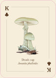 Mushrooms of the Wild | 54 Playing cards
