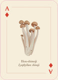 Mushrooms of the Wild | 54 Playing cards