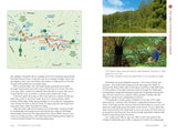 Top Walks in Victoria 3rd Edition | Melanie Ball