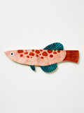 Jones & Co | Comet Fish