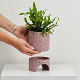 Capra Designs | Archie Pot | Musk Terrazzo