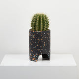 Capra Designs | Archie Pot | Black Terrazzo