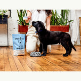 Crow Canyon | Splatter Enamelware | Small Pet Bowl | Black