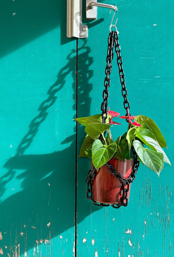 Woljam | Plant Hanger | Black