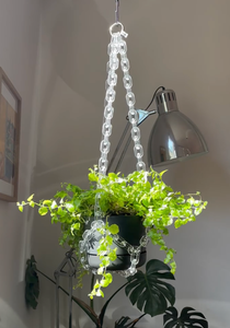 Woljam | Plant Hanger | Crystal