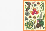 Cut-out Curiosities: Botanica | A Collage Book