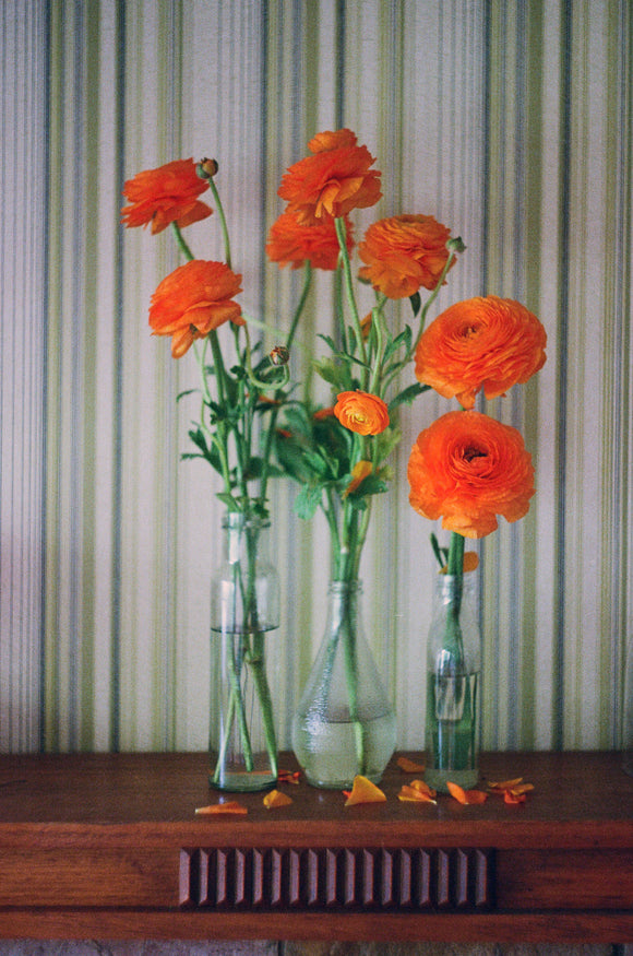 14. Petal Drop