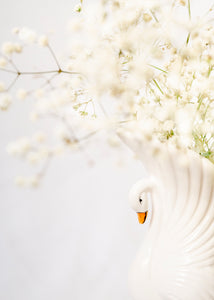9. Swan Lace