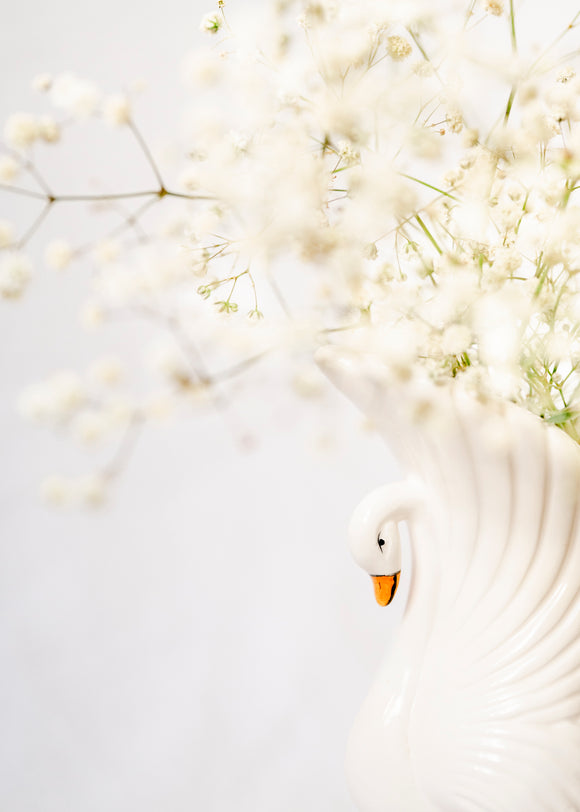 9. Swan Lace