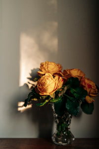 6. Bohemian like you #2