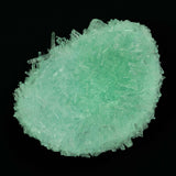 Heebie Jeebie | Crystal Grow & Explore