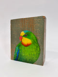 37. Superb Parrot
