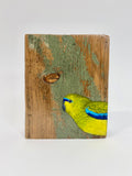 27. Elegant Parrot