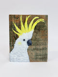 9. Sulphur Crested Cockatoo