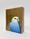 45. Pale Headed Rosella