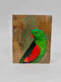 41. Red Winged Parrot