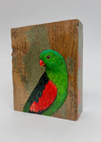 41. Red Winged Parrot