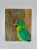 48. Swift Parrot