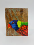 14. Coconut Lorikeet