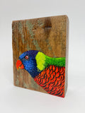14. Coconut Lorikeet