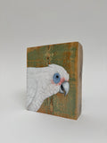 42. Western Corella