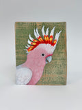21. Pink Cockatoo