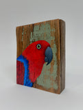 5. Eclectus Parrot