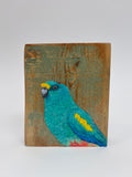 56. Mulga Parrot